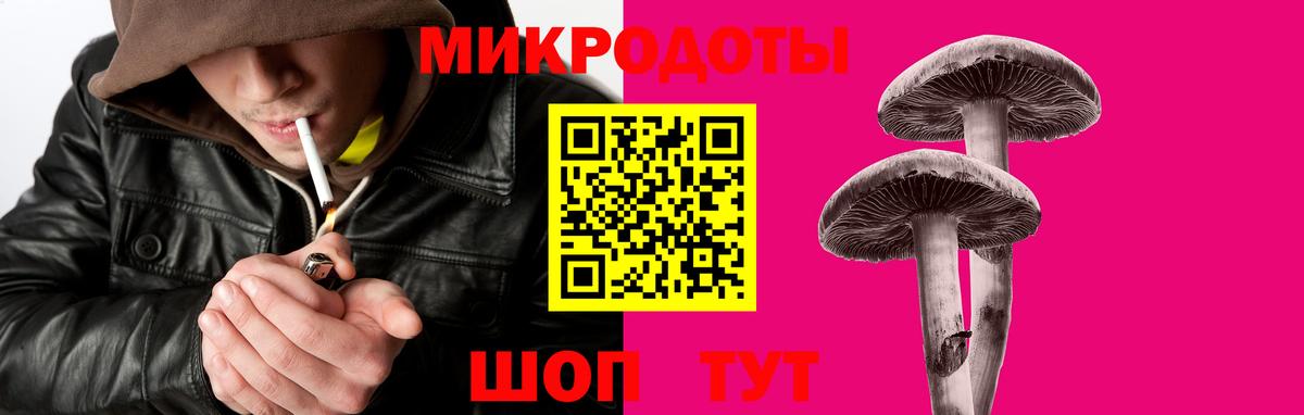 Переславль-Залесский  Псилоцибиновые грибы Cubensis  Вход с VPN  Псилоцибиновые грибы мицелий 